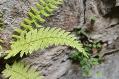 20260712_145426-scaled