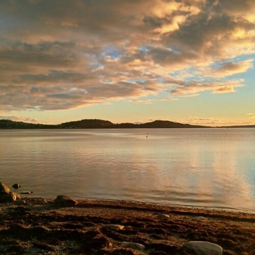 Leben in Schweden – #4 Familien-Hitliste